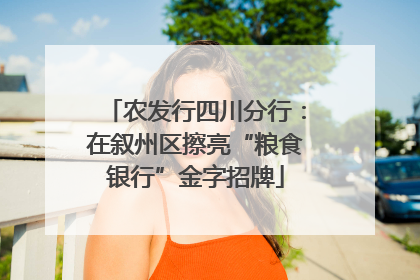 农发行四川分行：在叙州区擦亮“粮食银行”金字招牌