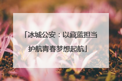 冰城公安：以藏蓝担当 护航青春梦想起航