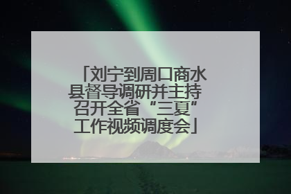 刘宁到周口商水县督导调研并主持召开全省“三夏”工作视频调度会