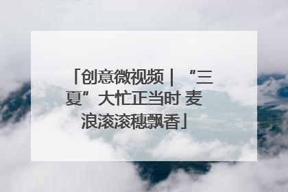 创意微视频｜“三夏”大忙正当时 麦浪滚滚穗飘香