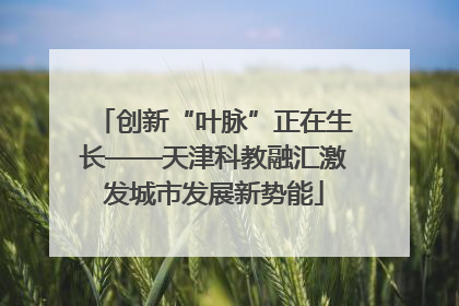 创新“叶脉”正在生长——天津科教融汇激发城市发展新势能