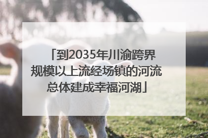 到2035年川渝跨界规模以上流经场镇的河流总体建成幸福河湖