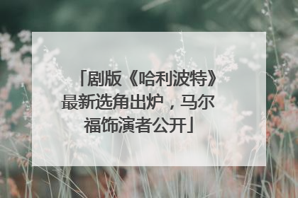 剧版《哈利波特》最新选角出炉，马尔福饰演者公开