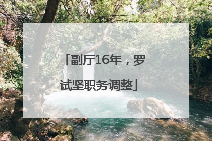 副厅16年，罗试坚职务调整