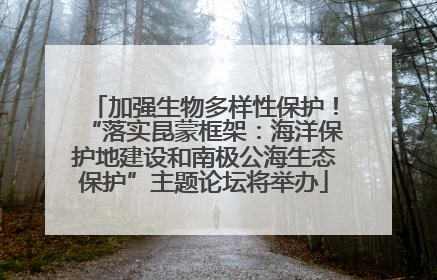 加强生物多样性保护！“落实昆蒙框架：海洋保护地建设和南极公海生态保护”主题论坛将举办
