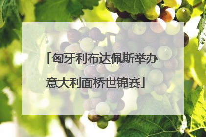 匈牙利布达佩斯举办意大利面桥世锦赛