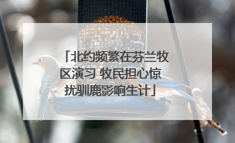 北约频繁在芬兰牧区演习 牧民担心惊扰驯鹿影响生计