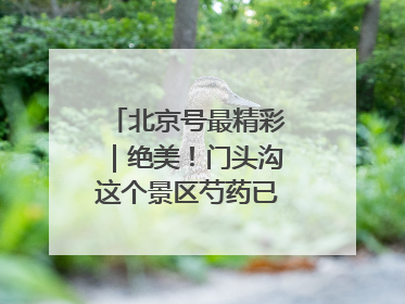 北京号最精彩｜绝美！门头沟这个景区芍药已花开成海