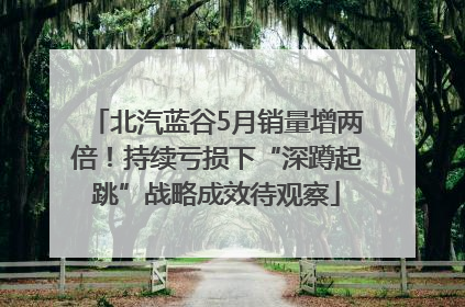 北汽蓝谷5月销量增两倍！持续亏损下“深蹲起跳”战略成效待观察