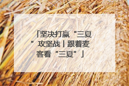 坚决打赢“三夏”攻坚战丨跟着麦客看“三夏”