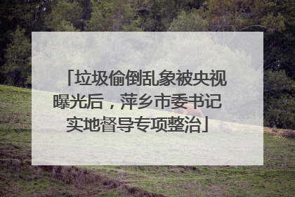 垃圾偷倒乱象被央视曝光后，萍乡市委书记实地督导专项整治