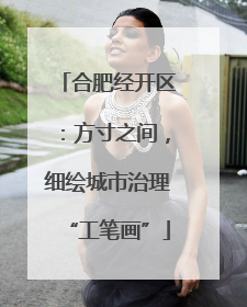 合肥经开区：方寸之间，细绘城市治理“工笔画”