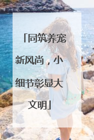 同筑养宠新风尚，小细节彰显大文明