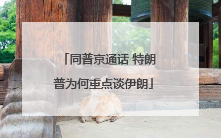 同普京通话 特朗普为何重点谈伊朗