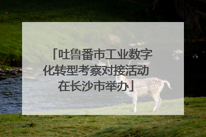 吐鲁番市工业数字化转型考察对接活动在长沙市举办