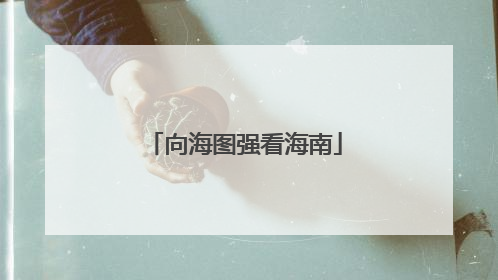 向海图强看海南