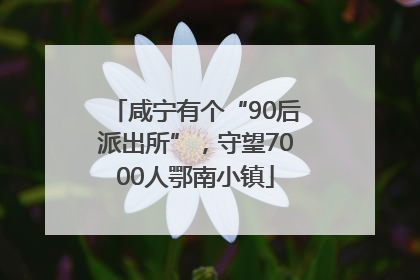 咸宁有个“90后派出所”，守望7000人鄂南小镇