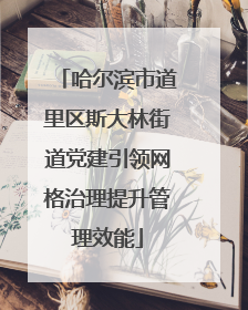 哈尔滨市道里区斯大林街道党建引领网格治理提升管理效能