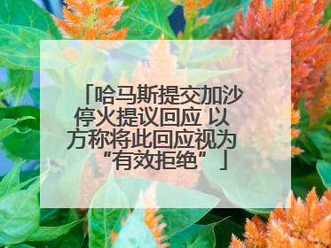 哈马斯提交加沙停火提议回应 以方称将此回应视为“有效拒绝”