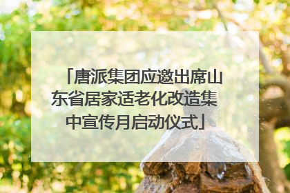 唐派集团应邀出席山东省居家适老化改造集中宣传月启动仪式