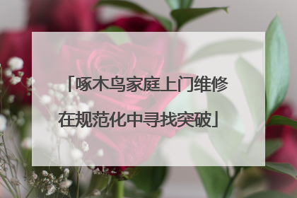 啄木鸟家庭上门维修在规范化中寻找突破