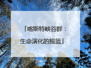 喀斯特峡谷群：生命演化的摇篮
