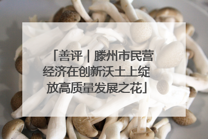 善评｜滕州市民营经济在创新沃土上绽放高质量发展之花