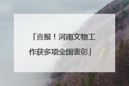 喜报！河南文物工作获多项全国表彰