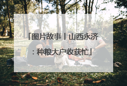 图片故事丨山西永济：种粮大户收获忙