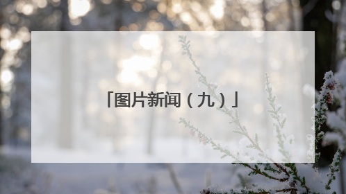 图片新闻（九）