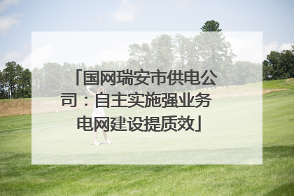 国网瑞安市供电公司：自主实施强业务 电网建设提质效