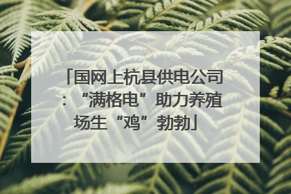 国网上杭县供电公司：“满格电”助力养殖场生“鸡”勃勃