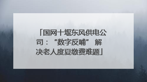 国网十堰东风供电公司：“数字反哺” 解决老人度夏缴费难题