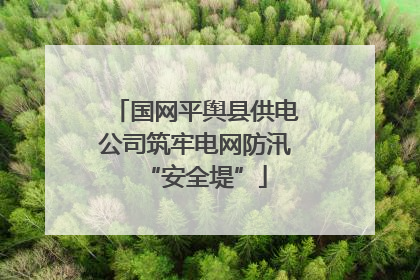 国网平舆县供电公司筑牢电网防汛“安全堤”