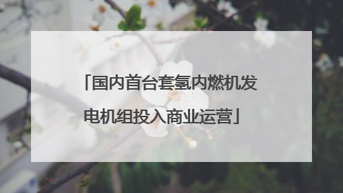 国内首台套氢内燃机发电机组投入商业运营