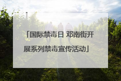 国际禁毒日 邓南街开展系列禁毒宣传活动