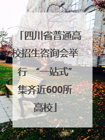 四川省普通高校招生咨询会举行 “一站式”集齐近600所高校