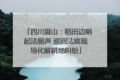 四川眉山：稻田边响起法槌声 巡回法庭现场化解耕地纠纷