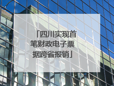 四川实现首笔财政电子票据跨省报销