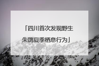 四川首次发现野生朱鹮夏季栖息行为
