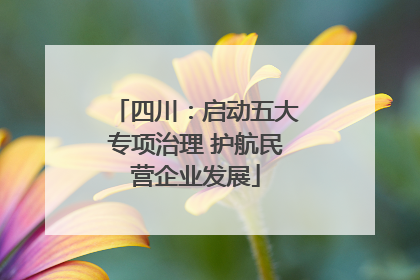 四川：启动五大专项治理 护航民营企业发展
