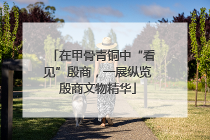 在甲骨青铜中“看见”殷商，一展纵览殷商文物精华
