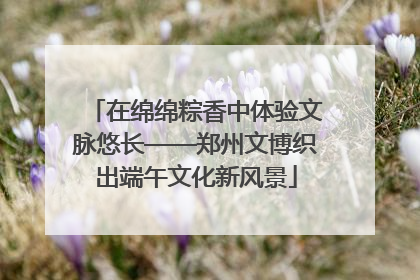 在绵绵粽香中体验文脉悠长——郑州文博织出端午文化新风景