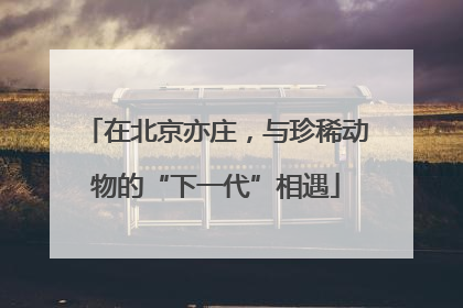 在北京亦庄，与珍稀动物的“下一代”相遇
