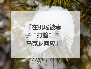 在机场被妻子“打脸”？马克龙回应