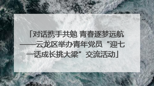 对话携手共勉 青春逐梦远航——云龙区举办青年党员“迎七一话成长挑大梁”交流活动