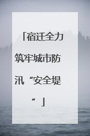 宿迁全力筑牢城市防汛“安全堤”