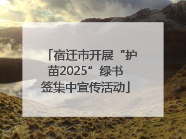 宿迁市开展“护苗2025”绿书签集中宣传活动