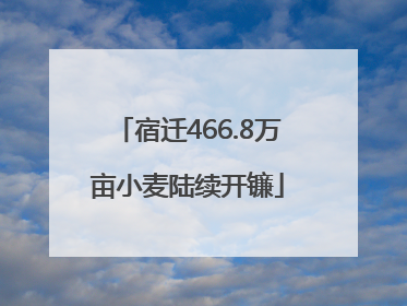宿迁466.8万亩小麦陆续开镰