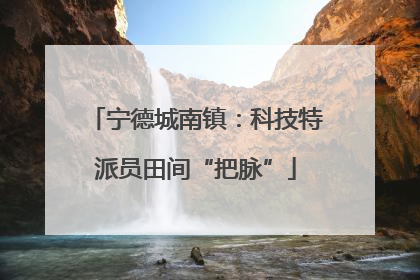 宁德城南镇：科技特派员田间“把脉”